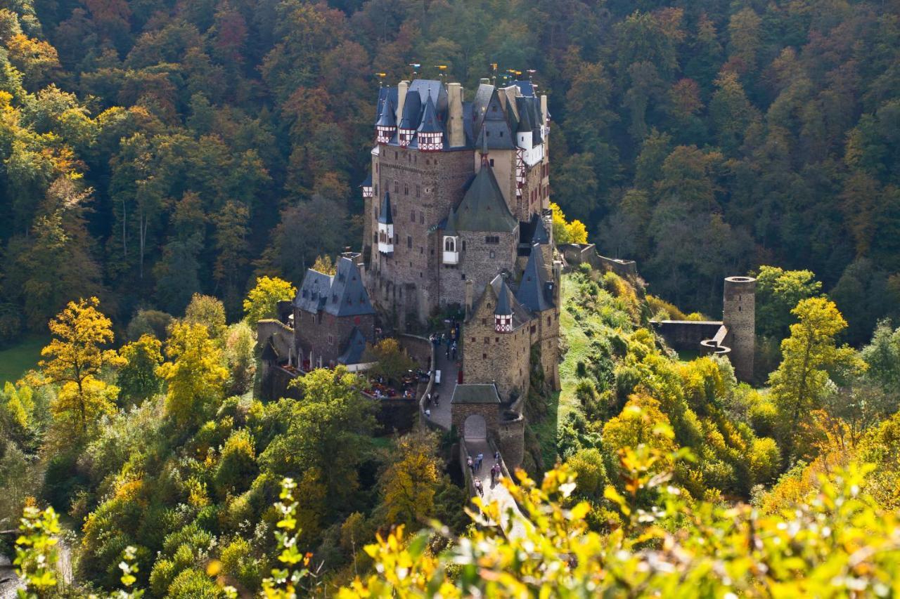 Tiny House Natur-Traum Zur Burg Eltz 维尔舍姆 外观 照片