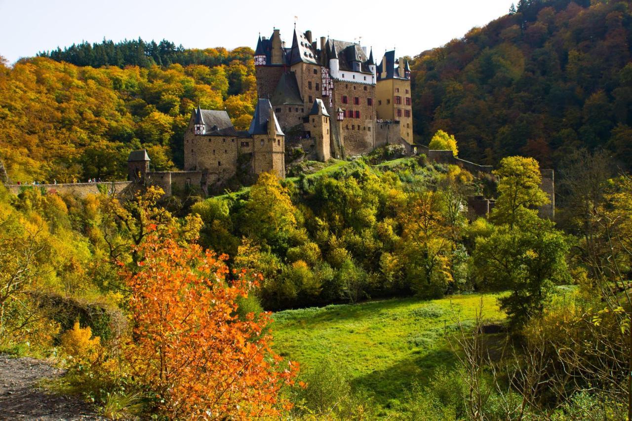 Tiny House Natur-Traum Zur Burg Eltz 维尔舍姆 外观 照片