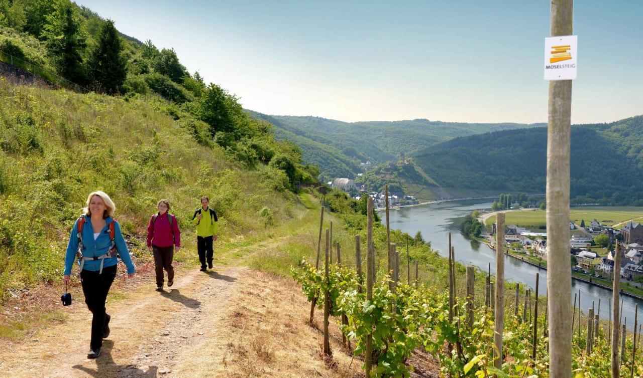 Tiny House Natur-Traum Zur Burg Eltz 维尔舍姆 外观 照片